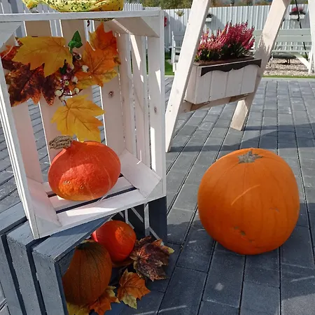 Całoroczny Comfort House Dom wakacyjny