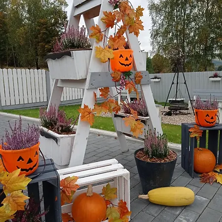 Całoroczny Comfort House Dom wakacyjny