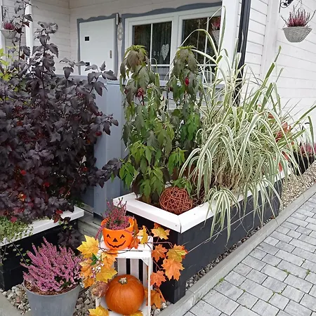 Całoroczny Comfort House Dom wakacyjny