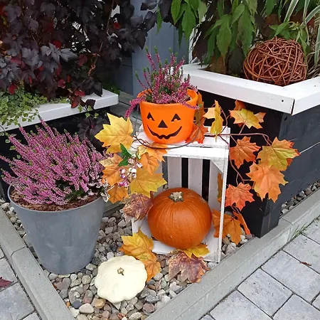 Dom wakacyjny Całoroczny Comfort House *