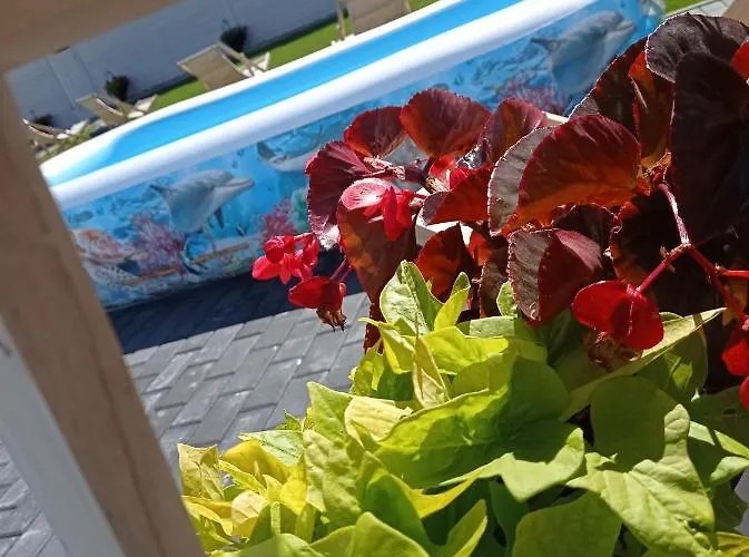 Caloroczny Osrodek Wypoczynkowy Comfort House