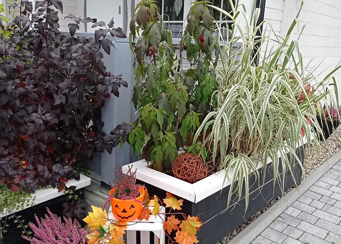 Caloroczny Osrodek Wypoczynkowy Comfort House Casa vacanze